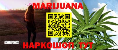 трава Сланцы