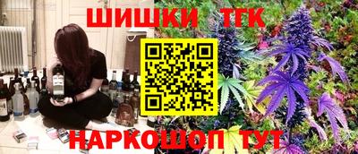 трава Сланцы