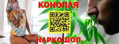 трава Сланцы