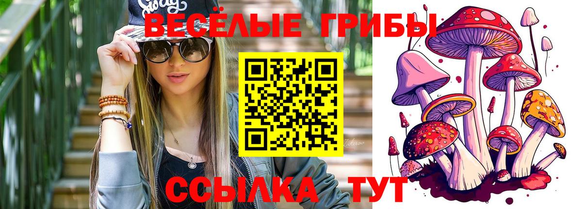 Галлюциногенные грибы Magic Shrooms  Вход с VPN  Серов 