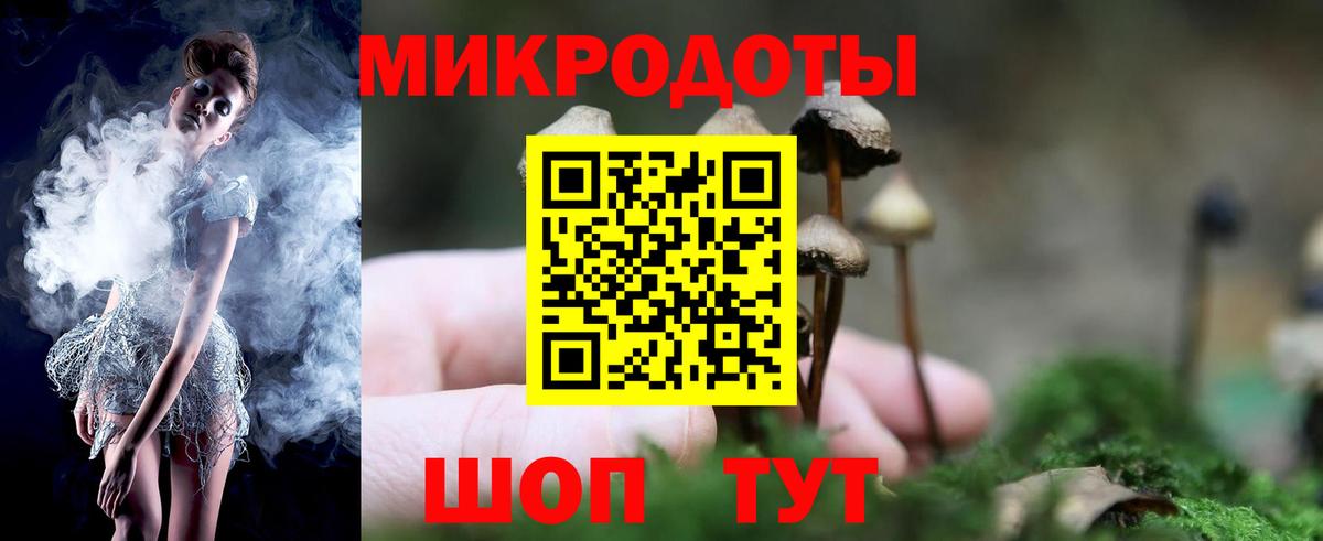 Псилоцибиновые грибы Psilocybe Серов